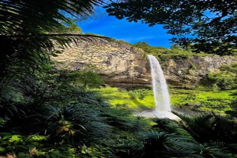 Photo of property in 944 Old Mountain Road, Waitetuna, Raglan, 3295