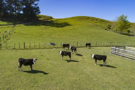 Photo of property in 501 Cemetery Road, Maunu, Whangarei, 0170