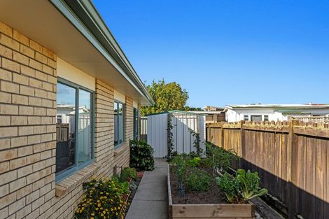 Photo of property in 37a James Street, Whakatane, 3120