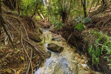 Photo of property in 196 Whakamarama Road, Whakamarama, Tauranga, 3179