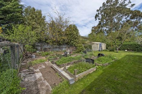 Photo of property in 8 Saint James Street, Southbridge, 7602