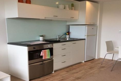 Photo of property in 53 Cook Street, Hamilton East, Hamilton, 3216