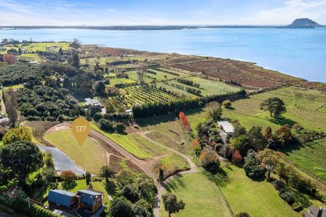 Photo of property in 137 Lochhead Road, Te Puna, Tauranga, 3176
