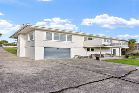 Photo of property in 43 Alton Avenue, Hillcrest, Auckland, 0627