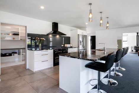 Photo of property in 165 Lowes Road, Rolleston, 7614