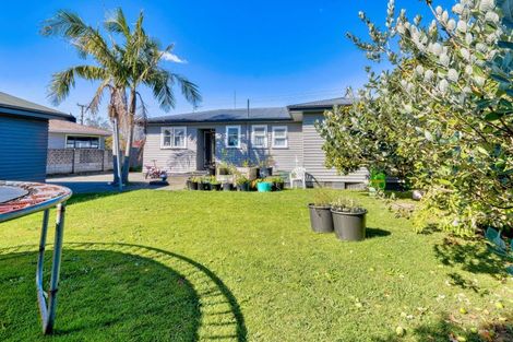 Photo of property in 66 Masefield Avenue, Maraenui, Napier, 4110