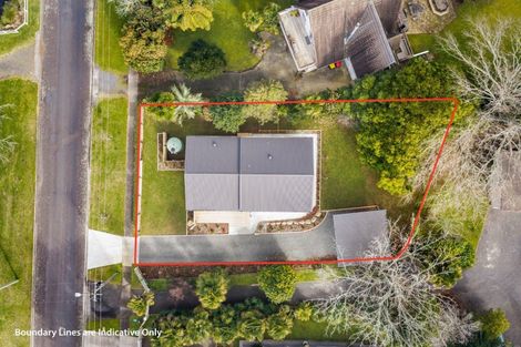 Photo of property in 5a George Street, Waihi, 3610