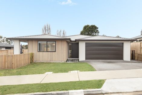 Photo of property in 63 Ruba Way, Ohauiti, Tauranga, 3112