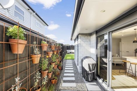 Photo of property in 40 Probert Crescent, Chartwell, Hamilton, 3210