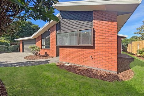 Photo of property in 297b Ashgrove Terrace, Somerfield, Christchurch, 8024