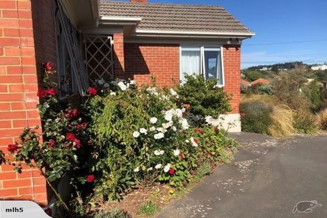 Photo of property in 50 Mayfield Avenue, Wakari, Dunedin, 9010