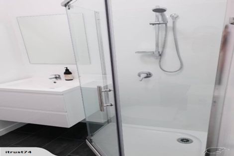 Photo of property in 29 Cook Street, Hamilton East, Hamilton, 3216