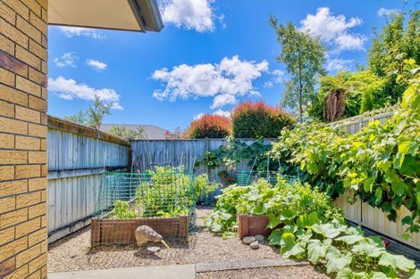 Photo of property in 31 Fairview Place, Havelock North, 4130