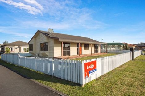 Photo of property in 19 Mcpherson Drive, Morrinsville, 3300