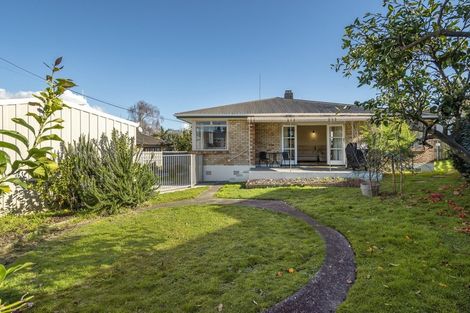 Photo of property in 7a Lynwood Place, Brookfield, Tauranga, 3110