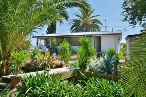 Photo of property in 479 Wainui Road, Kaiti, Gisborne, 4010