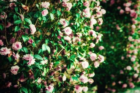 Photo of property in 24 Date Crescent, Aidanfield, Christchurch, 8025