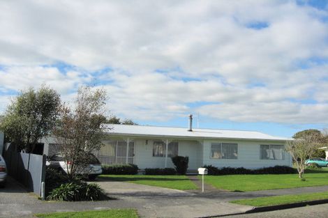 Photo of property in 19 Vogel Street, Levin, 5510