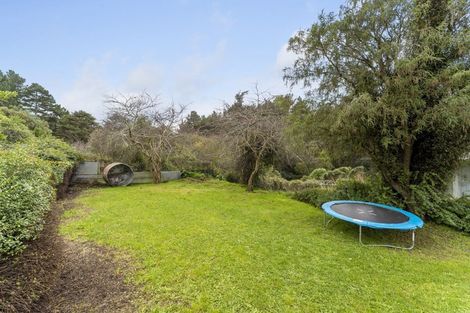 Photo of property in 21 York Place, Cannons Creek, Porirua, 5024