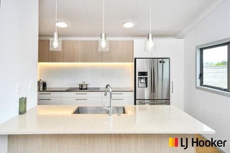 Photo of property in 160 Cameron Town Road, Pukekohe, 2678