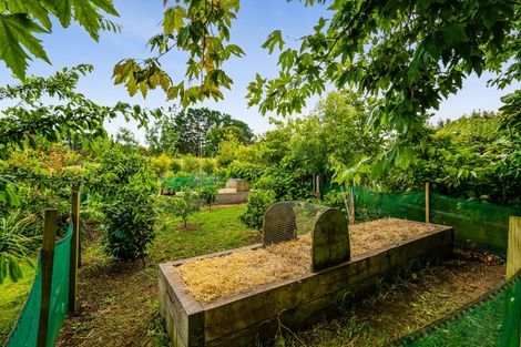 Photo of property in 171 Sealy Road, Omata, New Plymouth, 4374