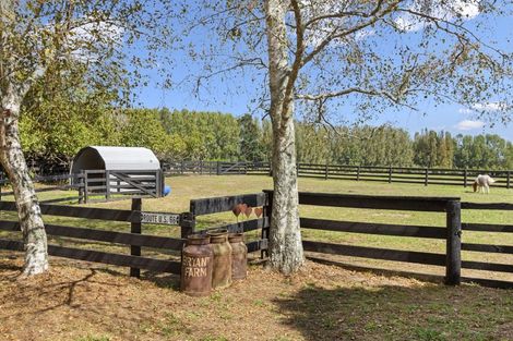 Photo of property in 85 Tarr Road, Ohaupo, 3881