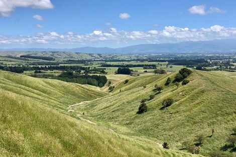 Photo of property in 14 Ranginui Drive, Kaiapoi, 7630