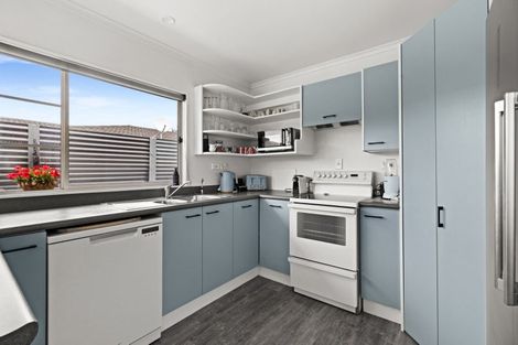 Photo of property in 509 Burnett Street, Mahora, Hastings, 4120