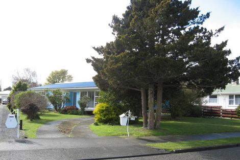 Photo of property in 12 Daniell Street, Solway, Masterton, 5810