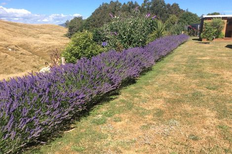 Photo of property in 98 Loch Views Road, Acacia Bay, Taupo, 3385