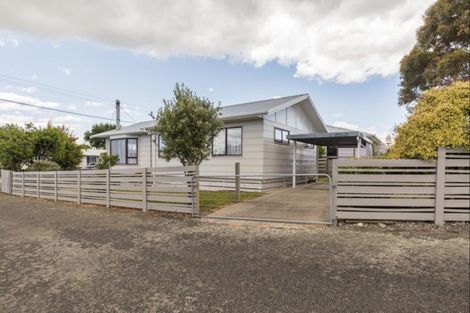 Photo of property in 9 Douglas Street, Levin, 5510