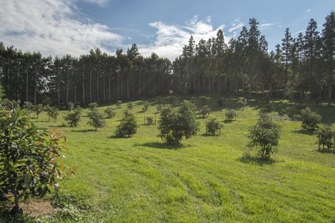 Photo of property in 109a Plummer Road, Whakamarama, Tauranga, 3179
