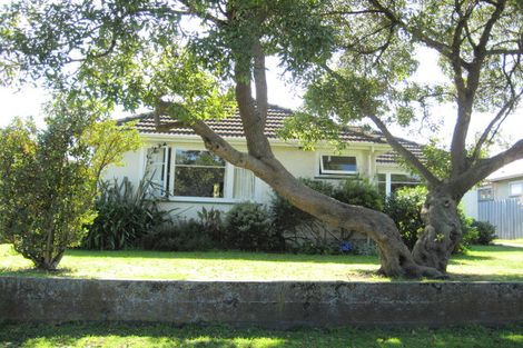 Photo of property in 110 Carlton Avenue, Tawhero, Whanganui, 4500