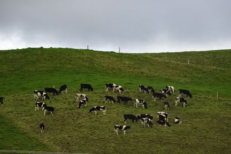 Photo of property in 198 Ballintoy Park Drive, Welcome Bay, Tauranga, 3175