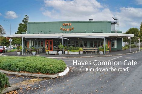 Photo of property in 45a Jellicoe Drive, Hamilton East, Hamilton, 3216