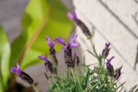 Photo of property in 105b Ranch Road, Mount Maunganui, 3116