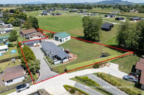 Photo of property in 29b Sheffield Street, Matamata, 3400