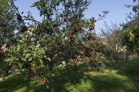 Photo of property in 504 Riwaka-sandy Bay Road, Kaiteriteri, Motueka, 7197