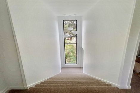 Photo of property in 48 Buccleugh Street, North East Valley, Dunedin, 9010