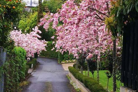 Photo of property in 11 Muritai Crescent, Havelock North, 4130