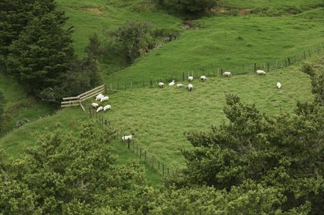 Photo of property in 137 Te Rore Road, Kaitaia, 0481