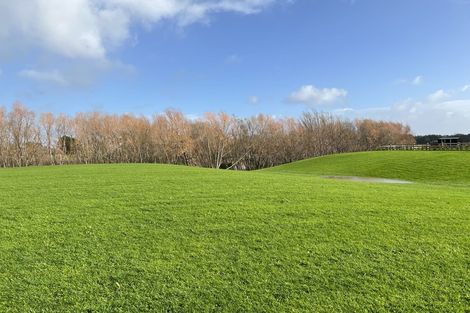 Photo of property in 88 Mahua Road, Feilding, 4777