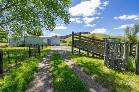 Photo of property in 228 Flyger Road, Mata, Whangarei, 0171