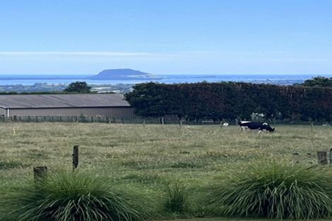 Photo of property in 385 Whakamarama Road, Whakamarama, Tauranga, 3179