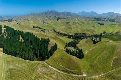 Photo of property in 363 Caseys Road, Lake Grassmere, Seddon, 7285