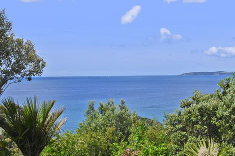 Photo of property in 17 Wonderview Road, Leigh, 0985