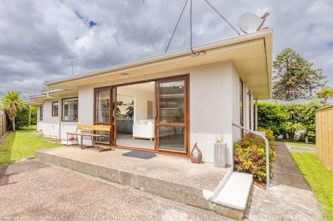 Photo of property in 1a Limbrick Street, Waipawa, 4210