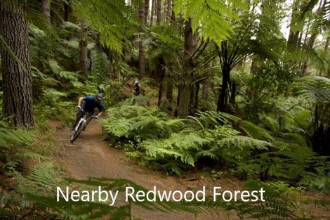 Photo of property in 58a Lynmore Avenue, Lynmore, Rotorua, 3010