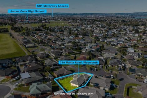 Photo of property in 319 Mahia Road, Weymouth, Auckland, 2103