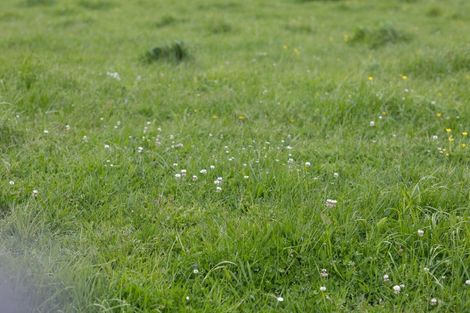 Photo of property in 139 Poyner Road, Ararua, Matakohe, 0594